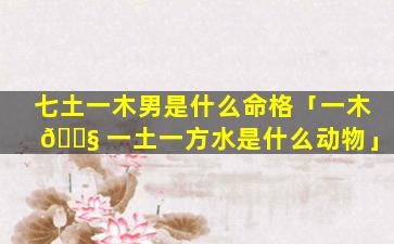 七土一木男是什么命格「一木 🐧 一土一方水是什么动物」